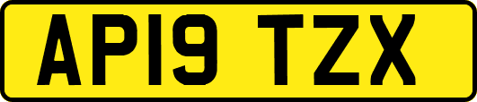 AP19TZX