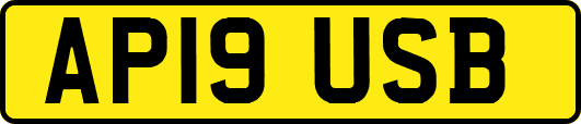 AP19USB