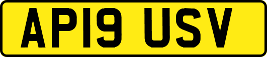 AP19USV