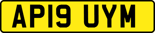 AP19UYM