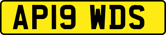 AP19WDS