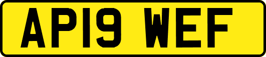 AP19WEF