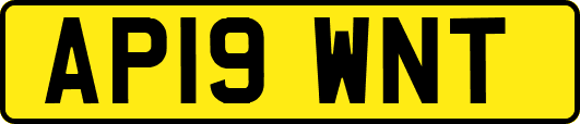 AP19WNT