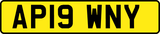 AP19WNY