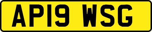 AP19WSG