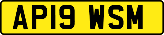 AP19WSM
