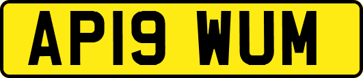 AP19WUM
