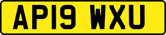 AP19WXU