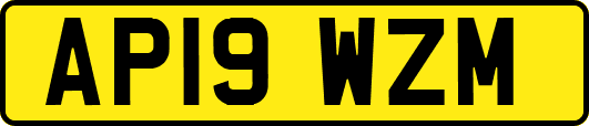 AP19WZM