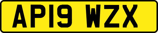AP19WZX