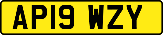 AP19WZY
