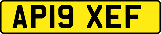 AP19XEF