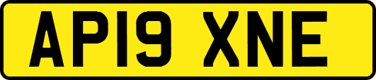 AP19XNE