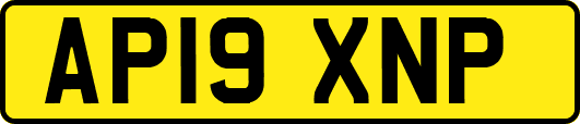 AP19XNP