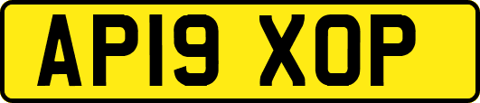 AP19XOP