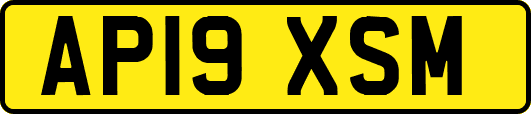 AP19XSM