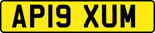 AP19XUM