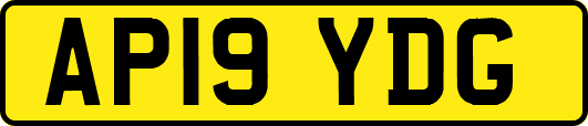 AP19YDG