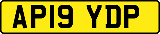AP19YDP