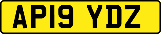 AP19YDZ