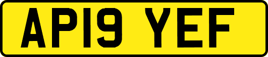 AP19YEF