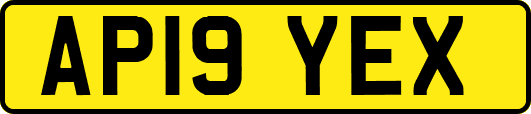 AP19YEX