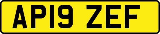 AP19ZEF