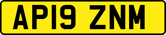AP19ZNM