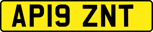 AP19ZNT