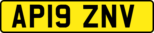 AP19ZNV