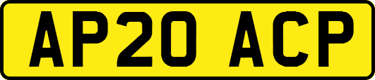 AP20ACP