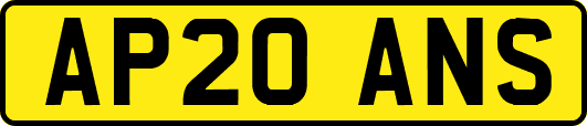 AP20ANS