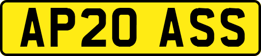 AP20ASS