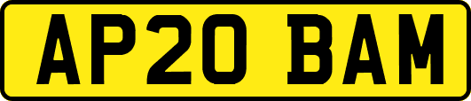 AP20BAM