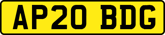AP20BDG