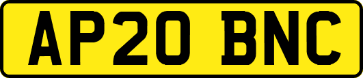 AP20BNC
