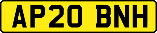 AP20BNH