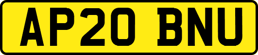 AP20BNU