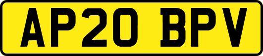 AP20BPV