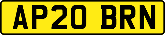 AP20BRN