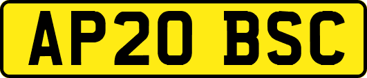 AP20BSC