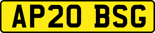 AP20BSG