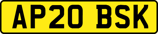 AP20BSK