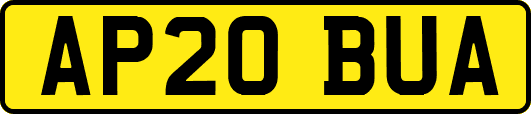 AP20BUA