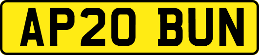 AP20BUN