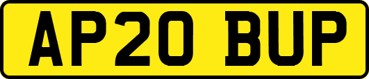 AP20BUP