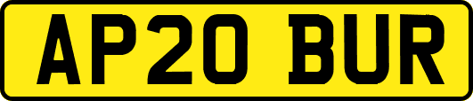 AP20BUR