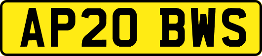 AP20BWS