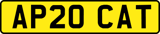 AP20CAT
