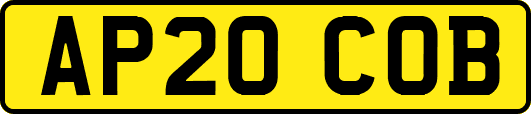 AP20COB
